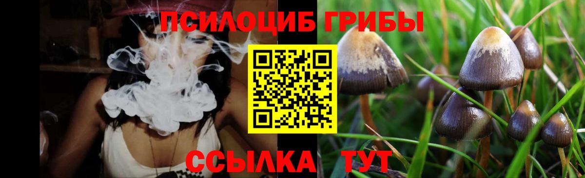 Галлюциногенные грибы Cubensis  Вход с VPN  купить закладку  Сегежа 