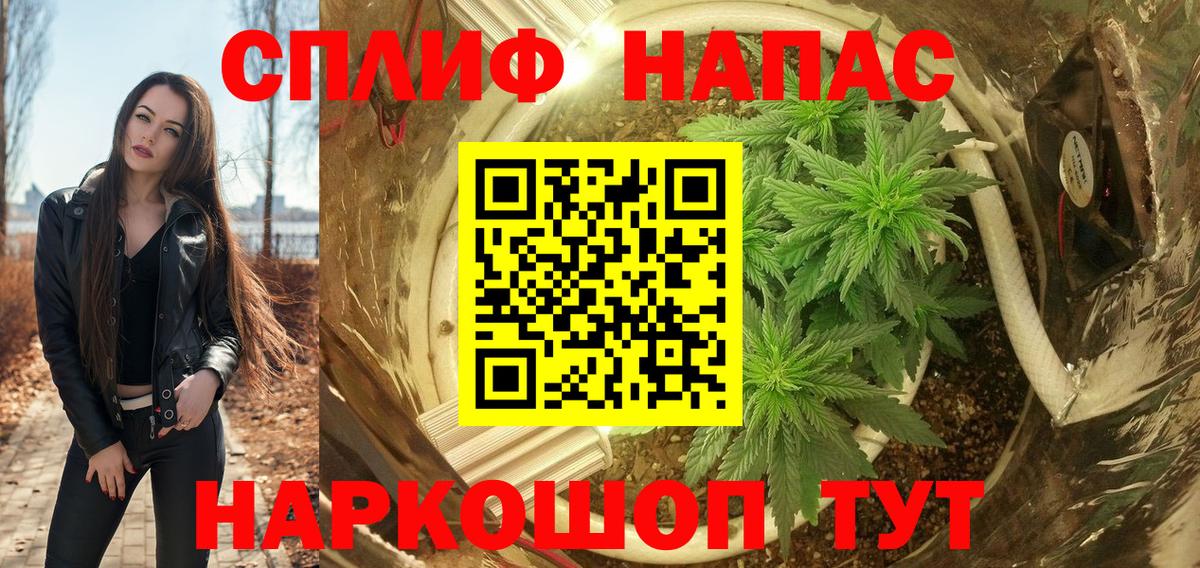 Бошки Шишки марихуана  Шишки марихуана планчик  Конопля тримм  Вход с VPN  Марихуана Bruce Banner  Сегежа 